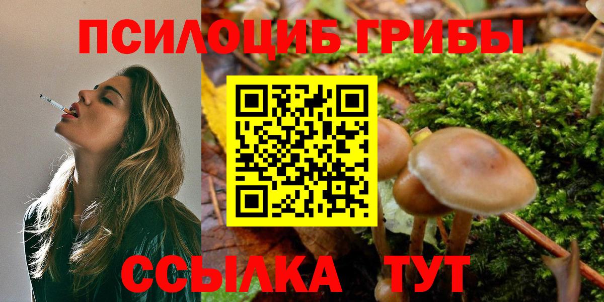 Псилоцибиновые грибы MAGIC MUSHROOMS  купить закладку  Тольятти  Вход с VPN 