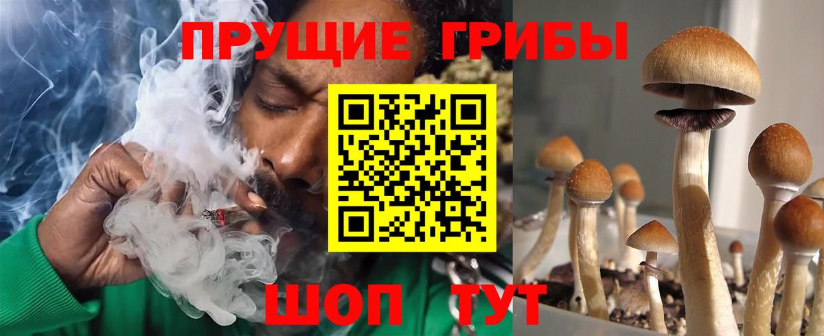 Псилоцибиновые грибы GOLDEN TEACHER Тольятти